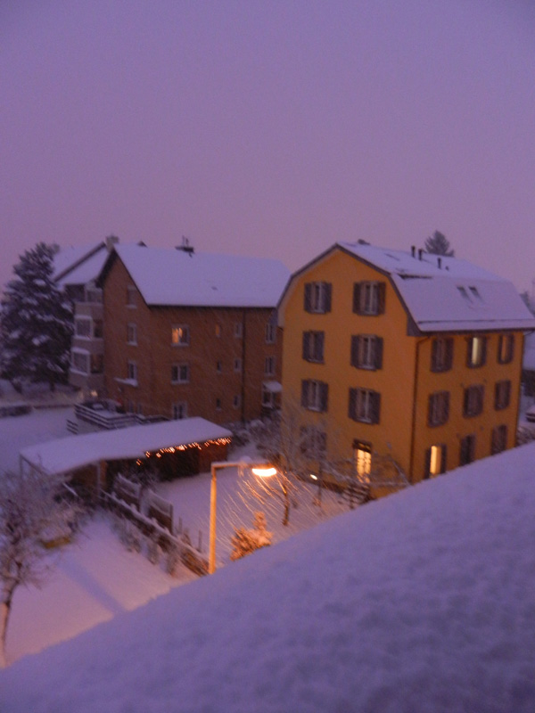 Winter Wonderland