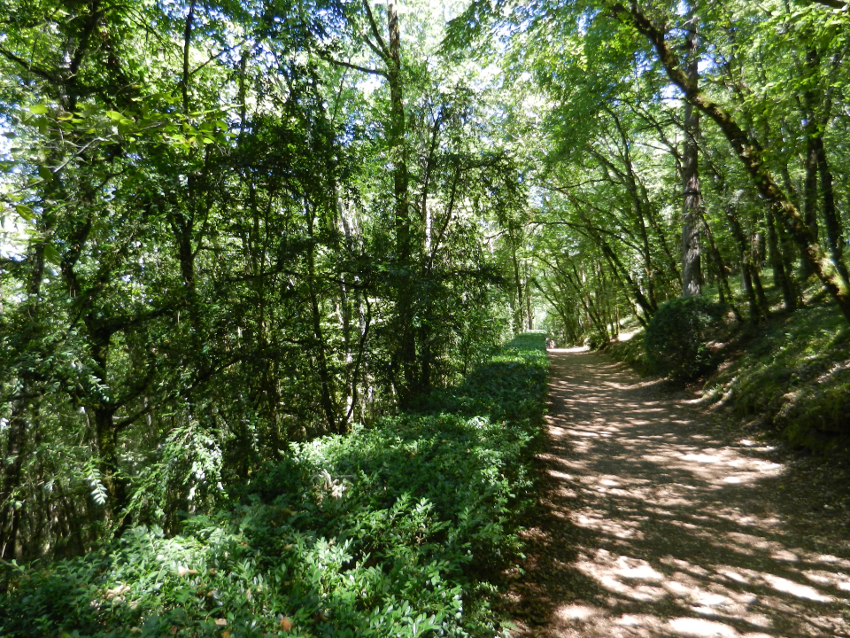 A look along the straight riding-alley mentioned before.