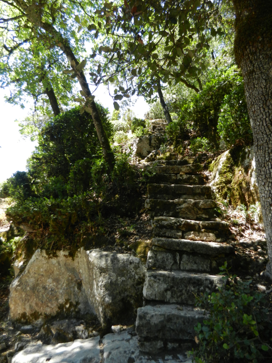 Besides the long alley along the whole gardens there are several kilometers of diverse paths, including these narrow stairs.